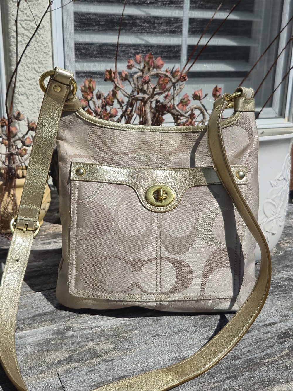 Beige Signature Pattern Crossbody Bag with Gold Accents